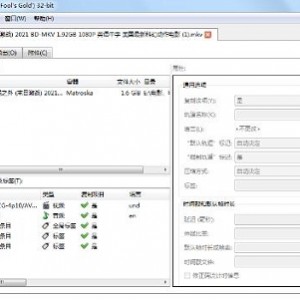 实用软件《MKVToolNix 53.0》 视频字幕处理工具推荐