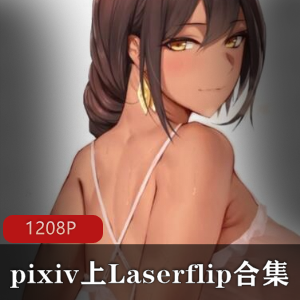 【自行打包】pixiv上Laserflip与Metal Owl的合集【1208P】【百度网盘】