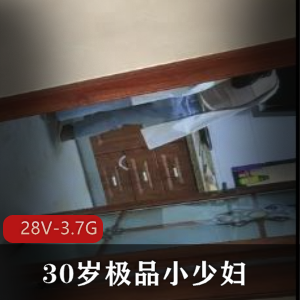 30岁极品小少妇清纯少妇致命YH [28V-3.7G]