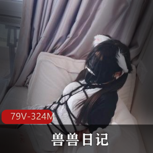 无虞1-动感S舞 [4V-5.4G]