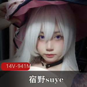 宿野suye 定制露脸14部 [14V-941M]